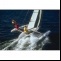 Trimaran  Dragonfly 600 Picture 1 